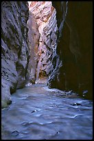 Virgin River flowing between  rock walls of Wall Street, the Narrows. Zion National Park, Utah, USA. (color)