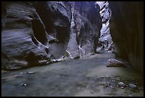 Dark canyon at Wall Street, the Narrows. Zion National Park ( color)