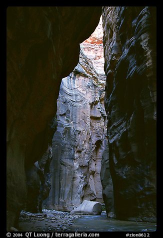 Section of the Narrows called Wall Street. Zion National Park (color)