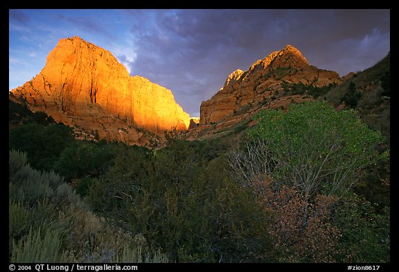 Kolob Canyons at sunset. Zion National Park (color)