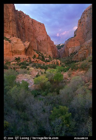 South Fork of Kolob Canyons at sunset. Zion National Park (color)