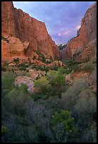 South Fork of Kolob Canyons at sunset. Zion National Park ( color)