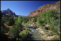 Virgin river and Watchman, spring morning. Zion National Park, Utah, USA. (color)