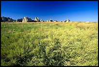 Tall grass prairie near Cedar Pass. Badlands National Park, South Dakota, USA. (color)