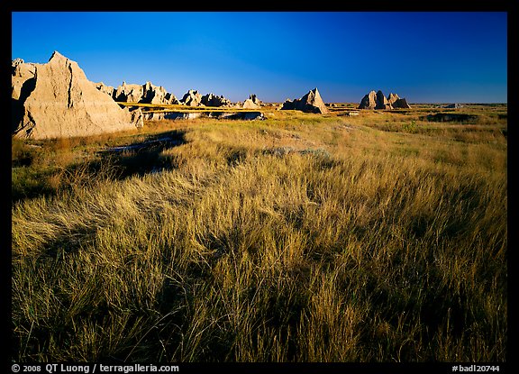 Tall grass prairie and badlands near Cedar Pass. Badlands National Park, South Dakota, USA.