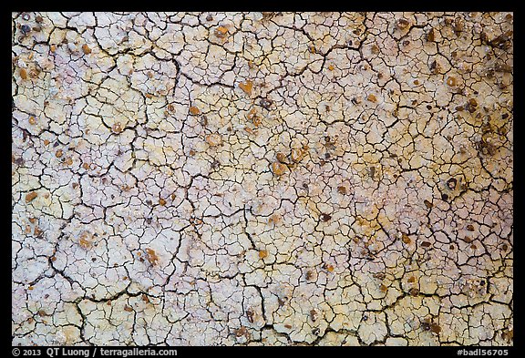 Cracks in yellow fossil soil. Badlands National Park (color)