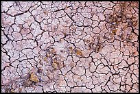 Rocks and mud cracks. Badlands National Park, South Dakota, USA. (color)
