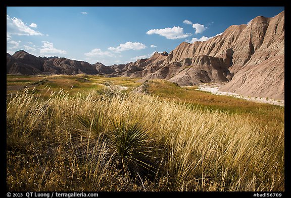 Grasses and badlands in Conata Basin. Badlands National Park (color)