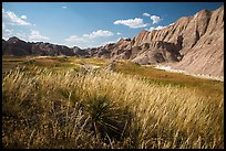 Grasses and badlands in Conata Basin. Badlands National Park ( color)