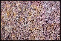 Cracked multi-colored paleosol. Badlands National Park, South Dakota, USA.