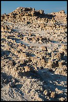 Concretions. Badlands National Park ( color)
