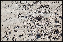 Rocks on cracked soil. Badlands National Park ( color)