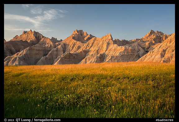 Grasses with summer flowers and buttes at sunset. Badlands National Park, South Dakota, USA.