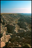 Looking east towards the The Stronghold table, South unit, morning. Badlands National Park ( color)