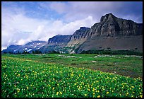 Garden wall from Logan pass. Glacier National Park, Montana, USA. (color)