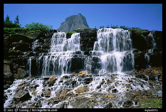 Waterfall at hanging gardens, Logan pass. Glacier National Park