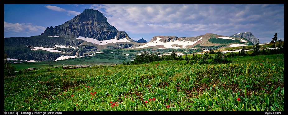 Alpine landscape with wildflower meadows and peak. Glacier National Park, Montana, USA.