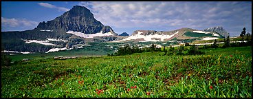 Alpine landscape with wildflower meadows and peak. Glacier National Park (Panoramic color)