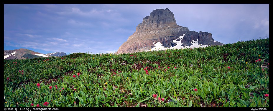 Alpine scenery with triangular peak rising above meadows. Glacier National Park (color)