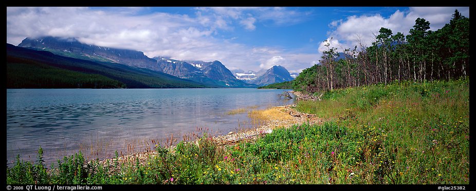 Mountain lake with wildflowers on shore. Glacier National Park (color)