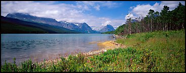 Mountain lake with wildflowers on shore. Glacier National Park, Montana, USA.