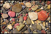 Colorful pebbles in a stream. Glacier National Park, Montana, USA.