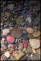 Colorful pebbles and shadow. Glacier National Park, Montana, USA.