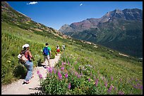 Group hiking on the Grinnell Glacier trail. Glacier National Park, Montana, USA. (color)