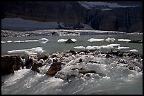 Outlet stream of glacial lake. Glacier National Park, Montana, USA.