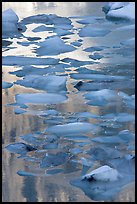 Blue icebergs floating on reflections of rock wall, late afternoon. Glacier National Park, Montana, USA. (color)