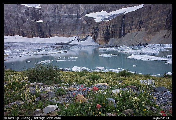 Wildflowers, Upper Grinnell Lake, Salamander Falls and Glacier. Glacier National Park, Montana, USA.