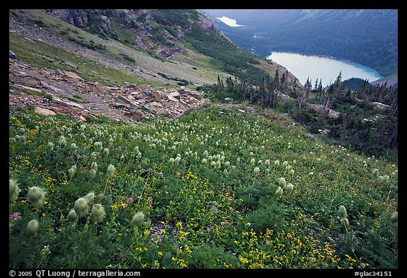 Bear Grass, Grinnell Lake and Josephine Lake. Glacier National Park (color)