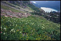 Bear Grass, Grinnell Lake and Josephine Lake. Glacier National Park, Montana, USA.