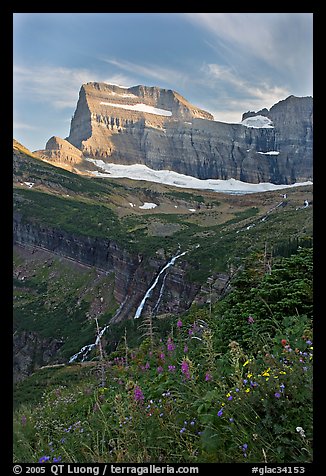 Wildflowers, Grinnell Falls, Mt Gould, and Garden Wall, sunset. Glacier National Park (color)