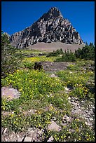 Meadow with wildflowers below Clemens Mountain, Logan Pass. Glacier National Park, Montana, USA. (color)