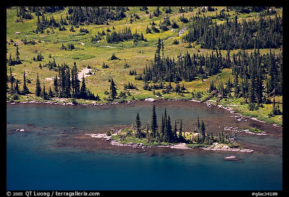 Islet on Hidden Lake. Glacier National Park (color)