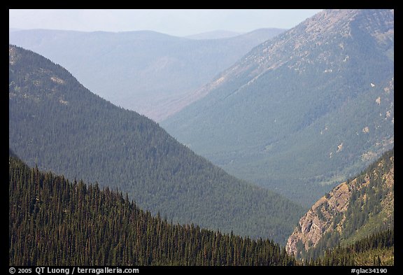 Forested Ridges seen from Hidden Lake Pass. Glacier National Park (color)
