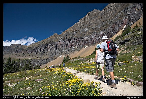 Hikers on trail amongst wildflowers near Hidden Lake. Glacier National Park (color)