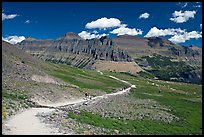 Trail near Logan Pass. Glacier National Park, Montana, USA. (color)
