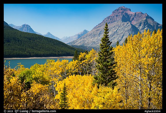 Autumn color, Rising Wolf Mountain, Lower Two Medicine Lake. Glacier National Park (color)