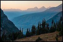 Sunset from Highline trail. Glacier National Park ( color)