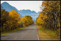 Road in autumn, Many Glacier. Glacier National Park ( color)