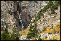 Apikuni Falls and autumn colors. Glacier National Park ( color)