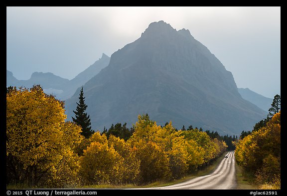 Road, forest in autum foliage, and park, Many Glacier. Glacier National Park (color)