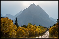 Road, forest in autum foliage, and park, Many Glacier. Glacier National Park ( color)