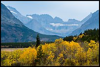 Forest in autum foliage and Garden Wall, Many Glacier. Glacier National Park ( color)