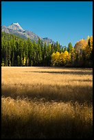 Meadow in autumn, North Fork. Glacier National Park ( color)