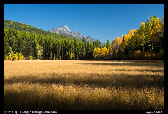 Shadows in autumn meadow. Glacier National Park (color)