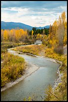 Autumn foliage along the North Fork of Flathead River. Glacier National Park ( color)