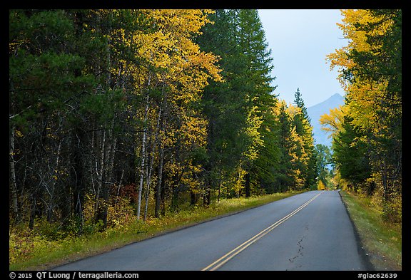 Road in autum near West Glacier. Glacier National Park, Montana, USA.